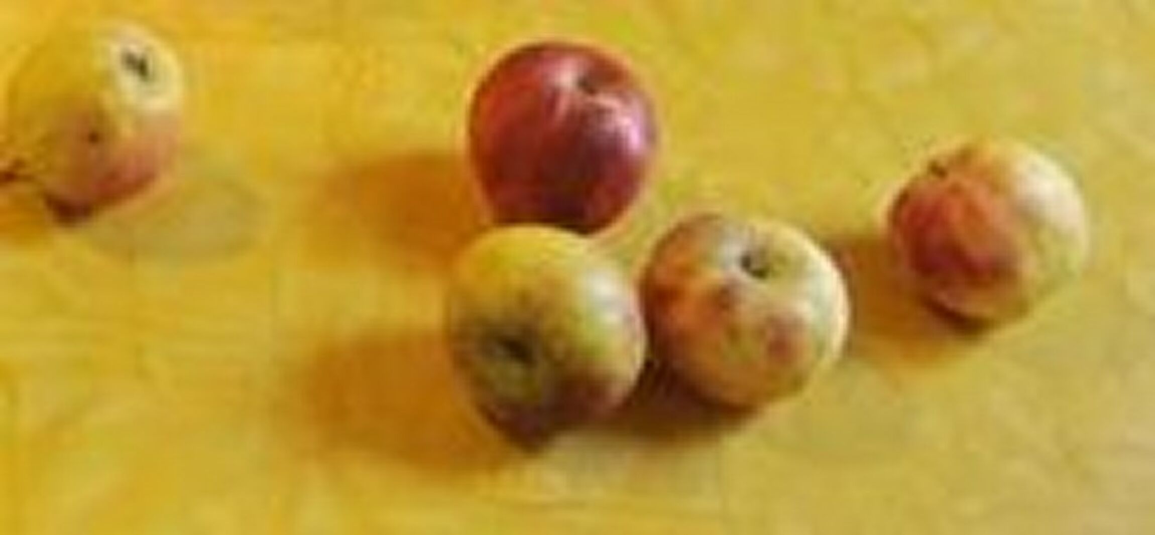 essen - foto dw hannovers, bearb. r. roth