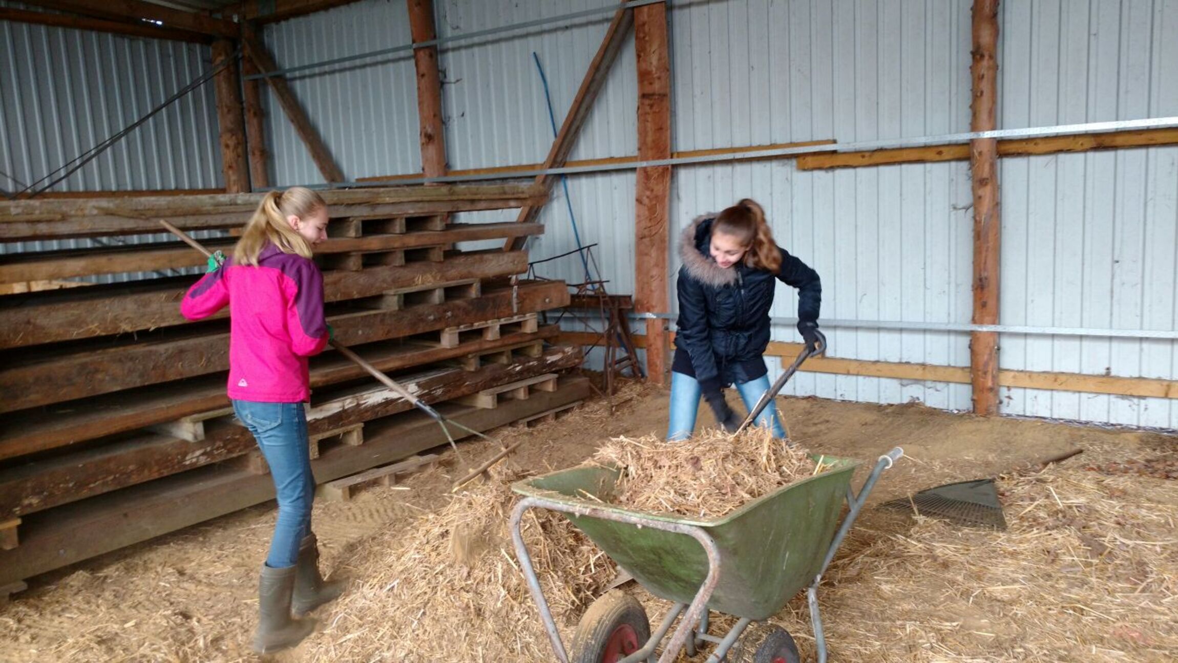 7b mistet Stall (Brink) - Sozialer Tag