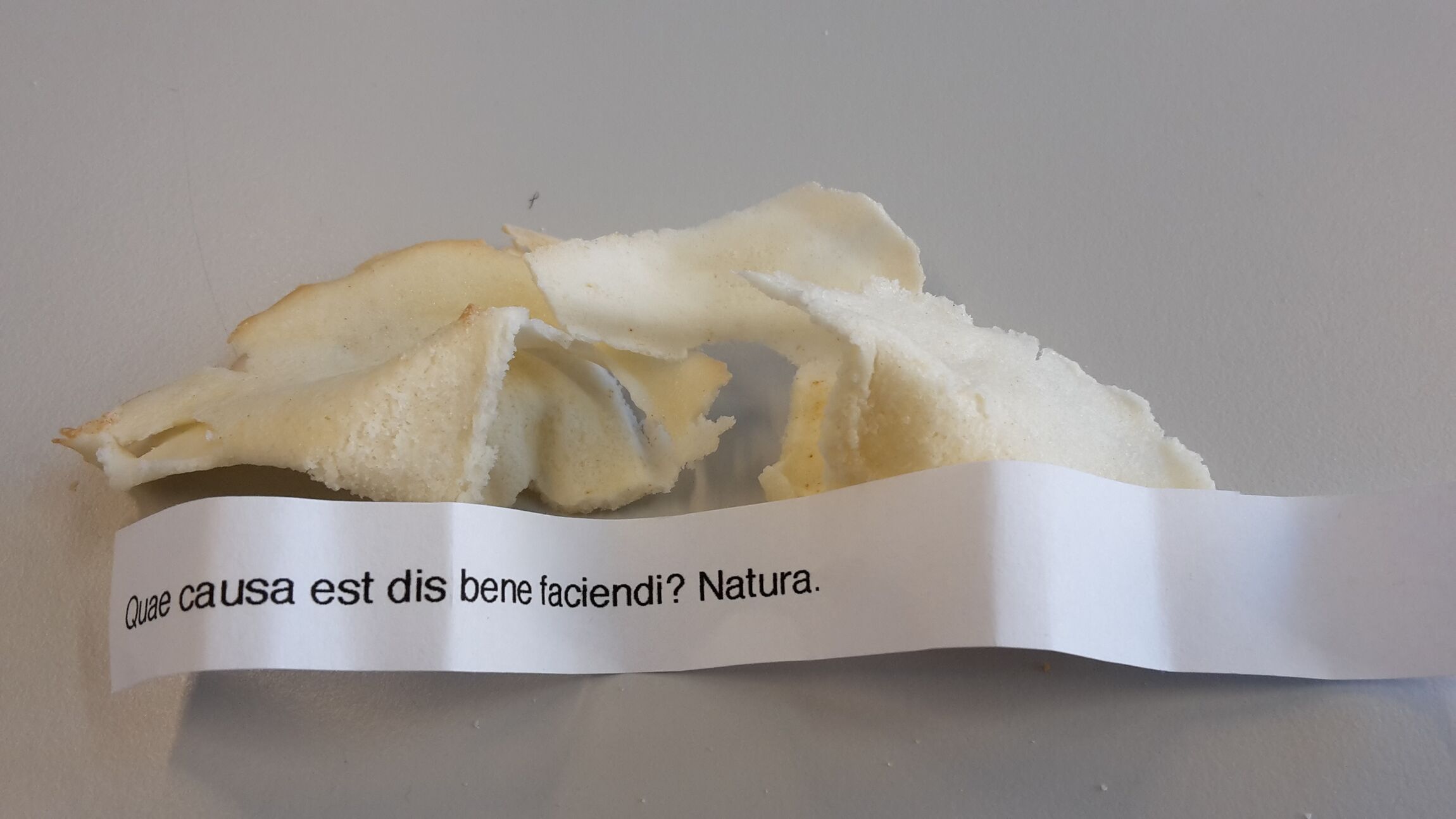 Foto_Latein+Unterricht_Oberstufe_12_16[1]