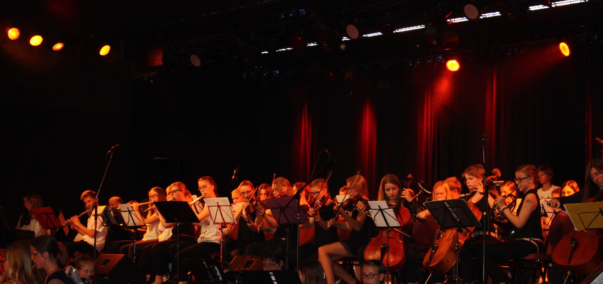 Foto_Ankündigung_Sommerkonzert_2017[1]