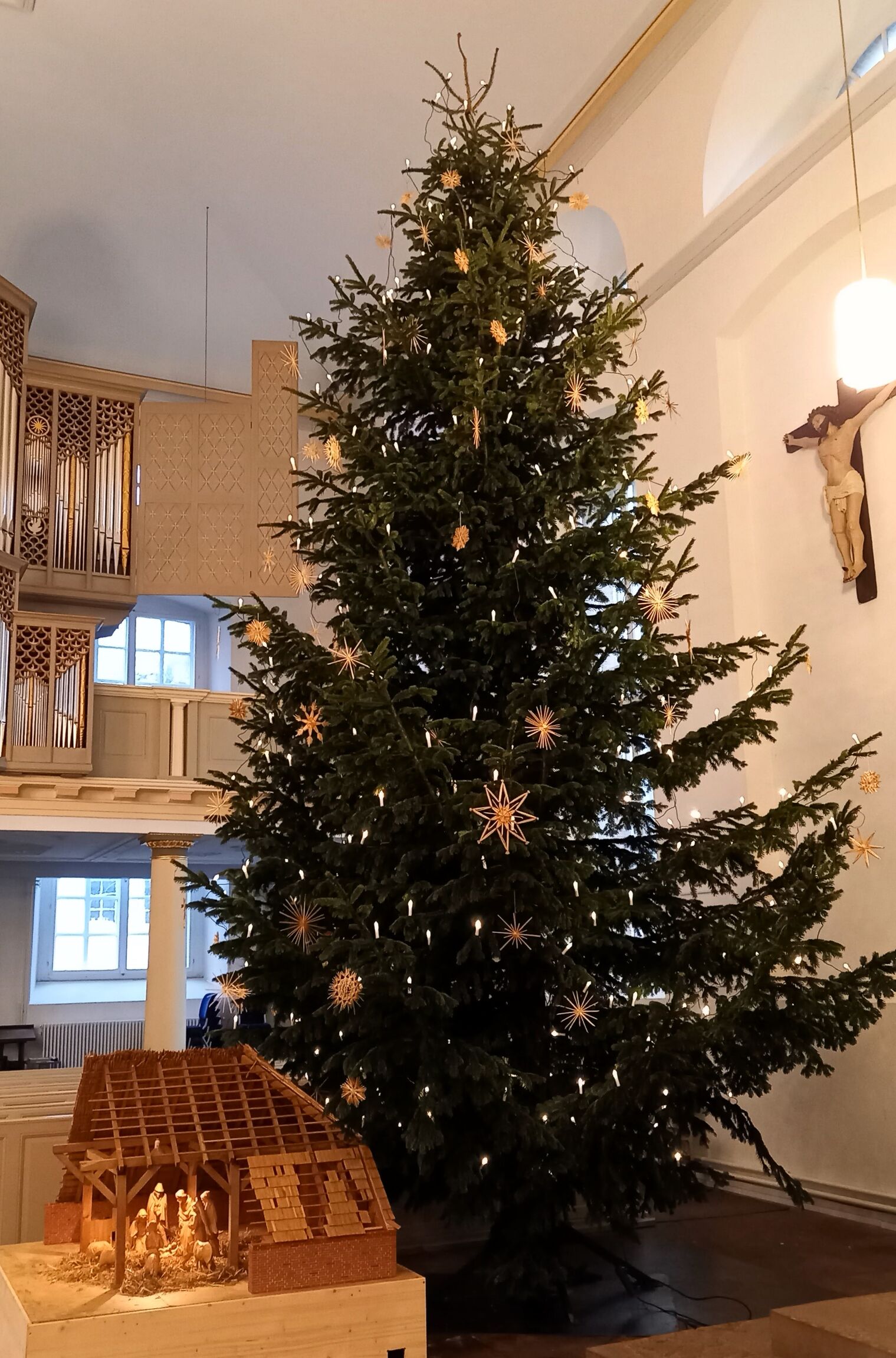 Weihnachtsbaum 2024