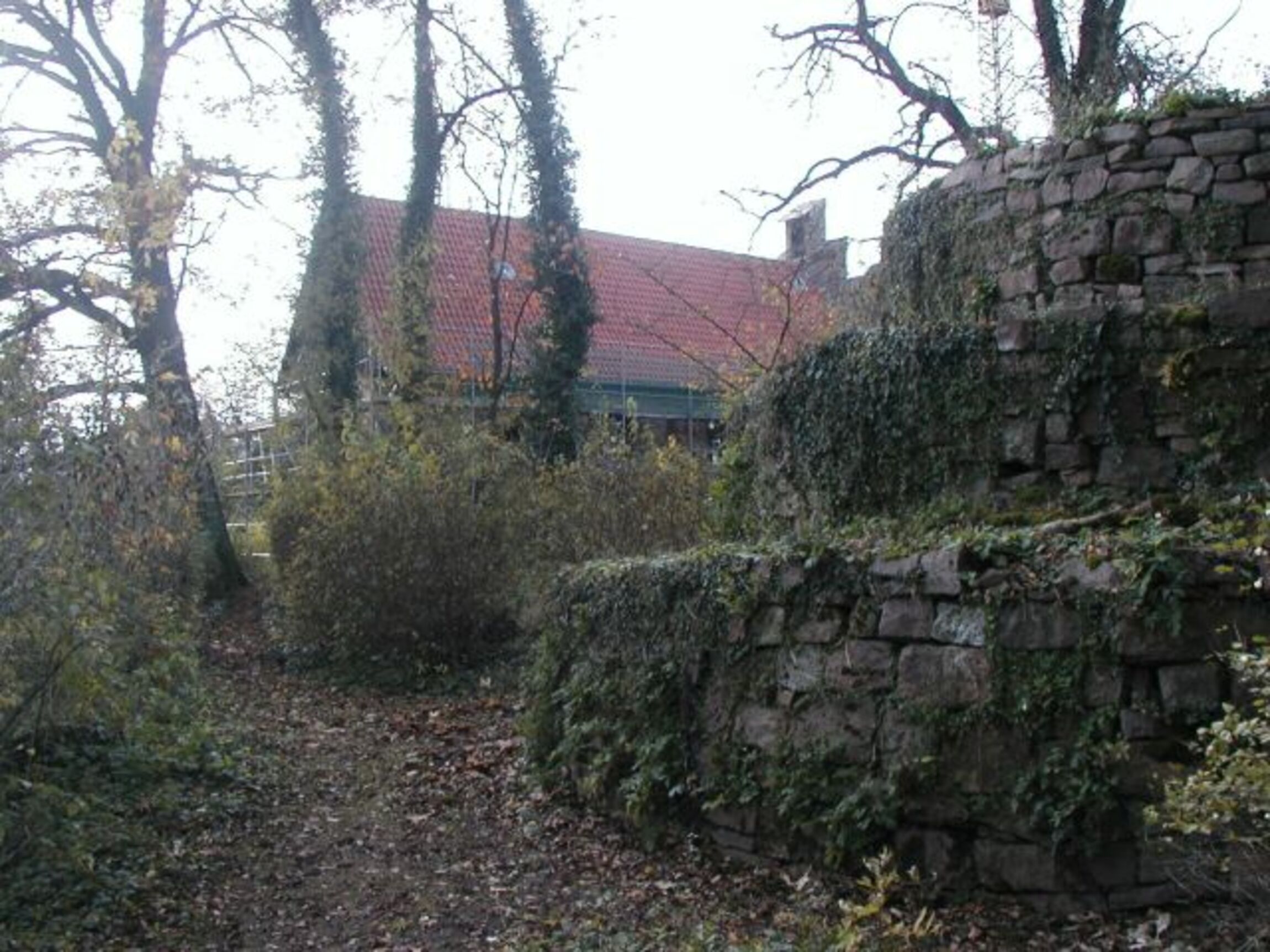 Hilwartshausen-Schnecke