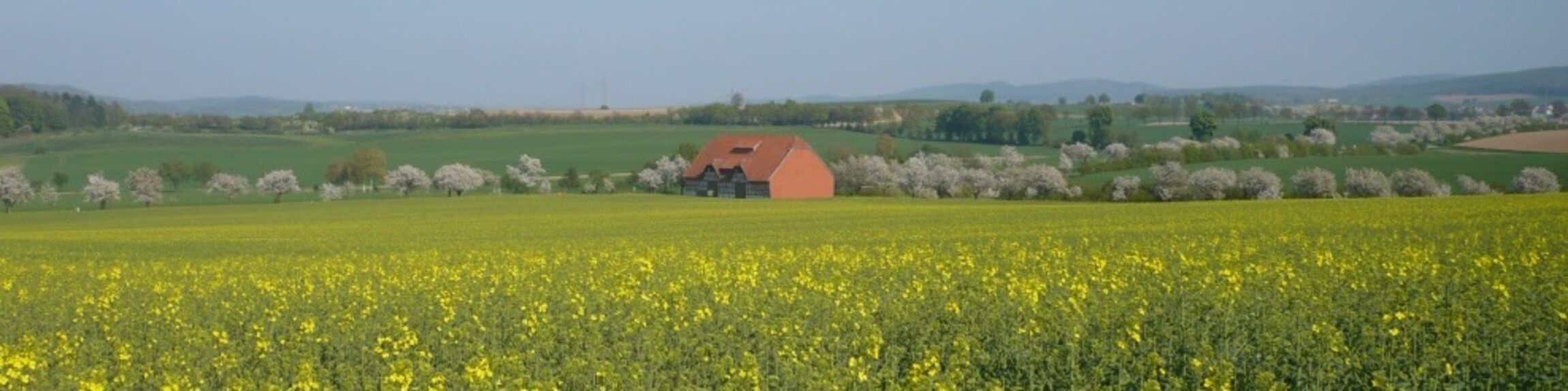 Scheune_am Kloster_Raps