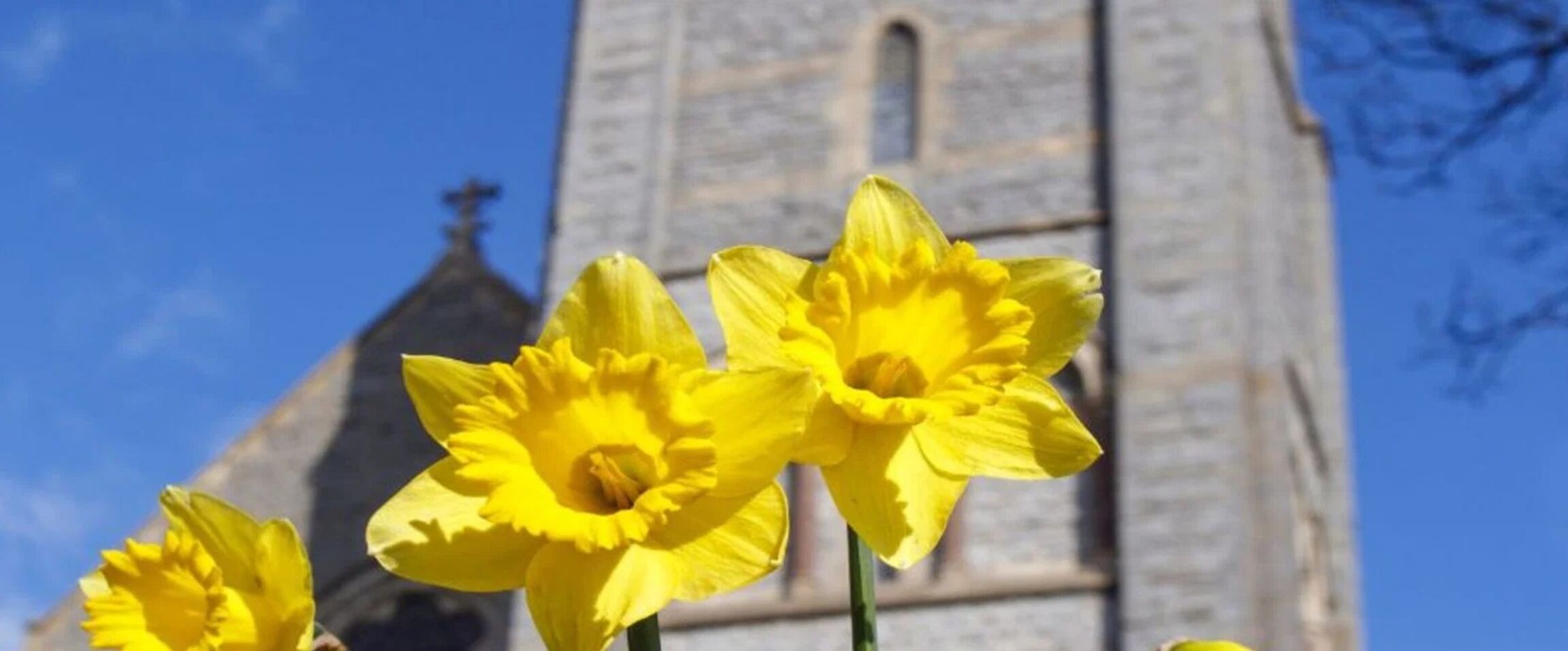 Osterandacht Landesbischof Ralf Meister