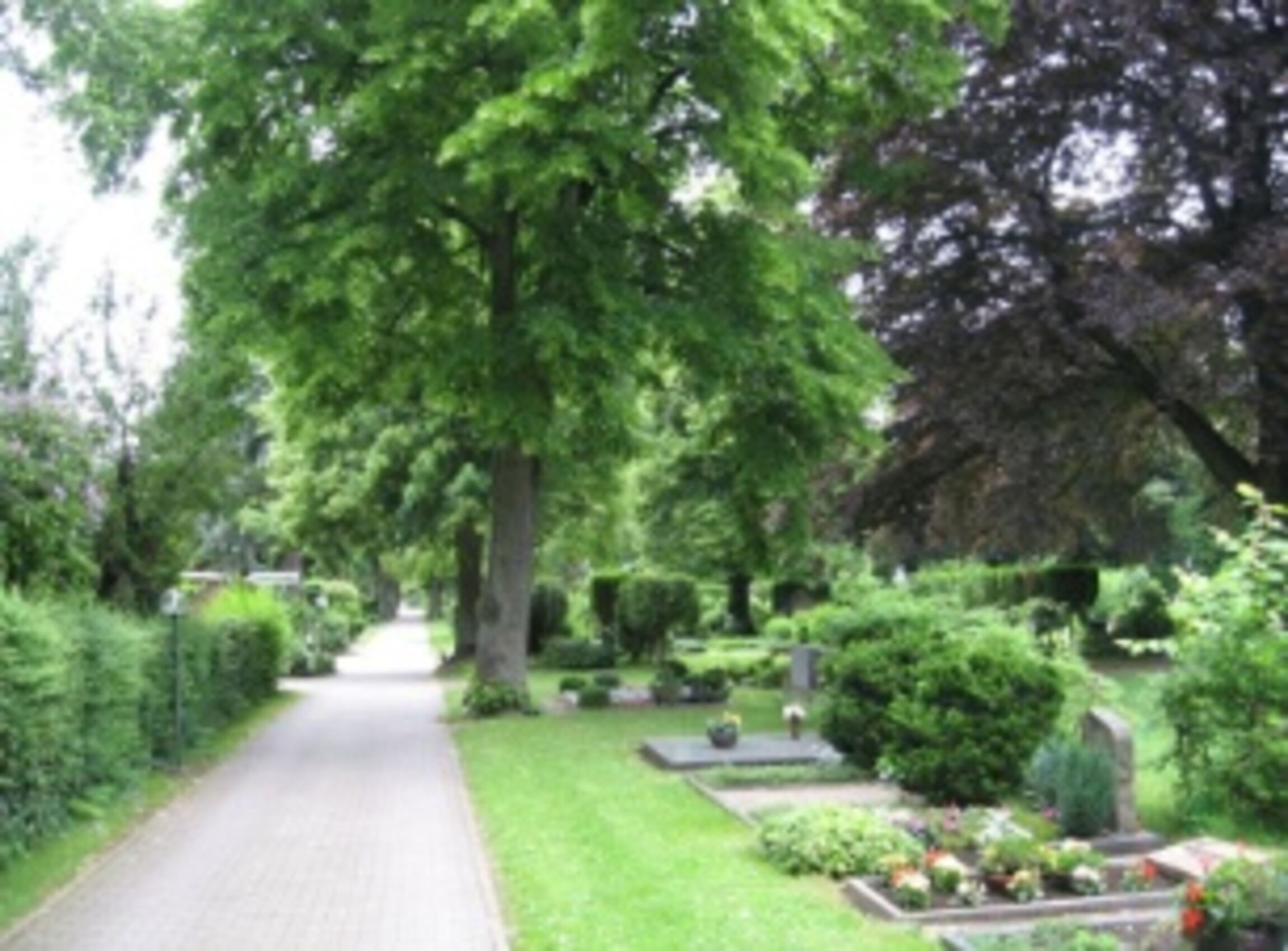 Friedhof