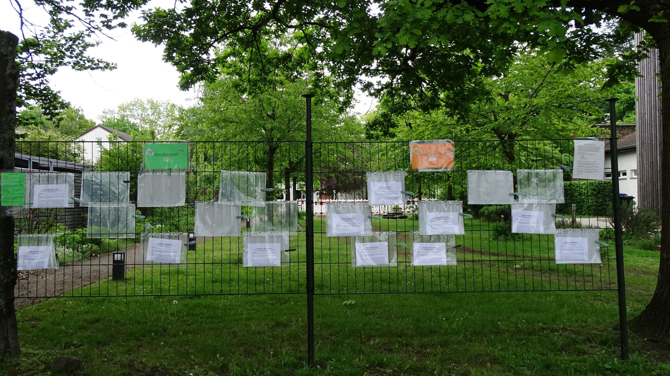 Gruß zum Mitnehmen - Zaun im Mai