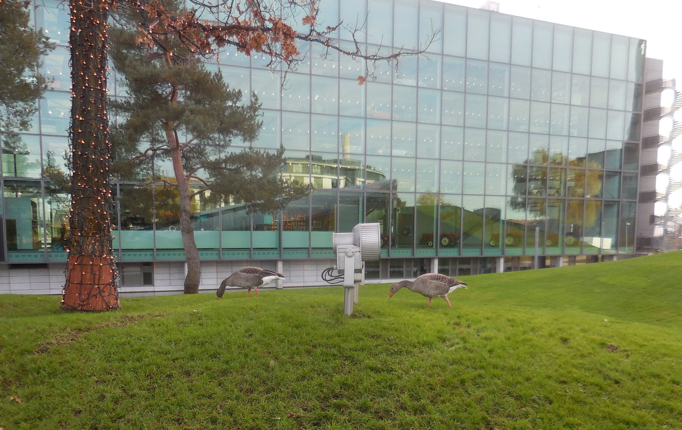 Autostadt Wolfsburg - Gebäude, Teaser