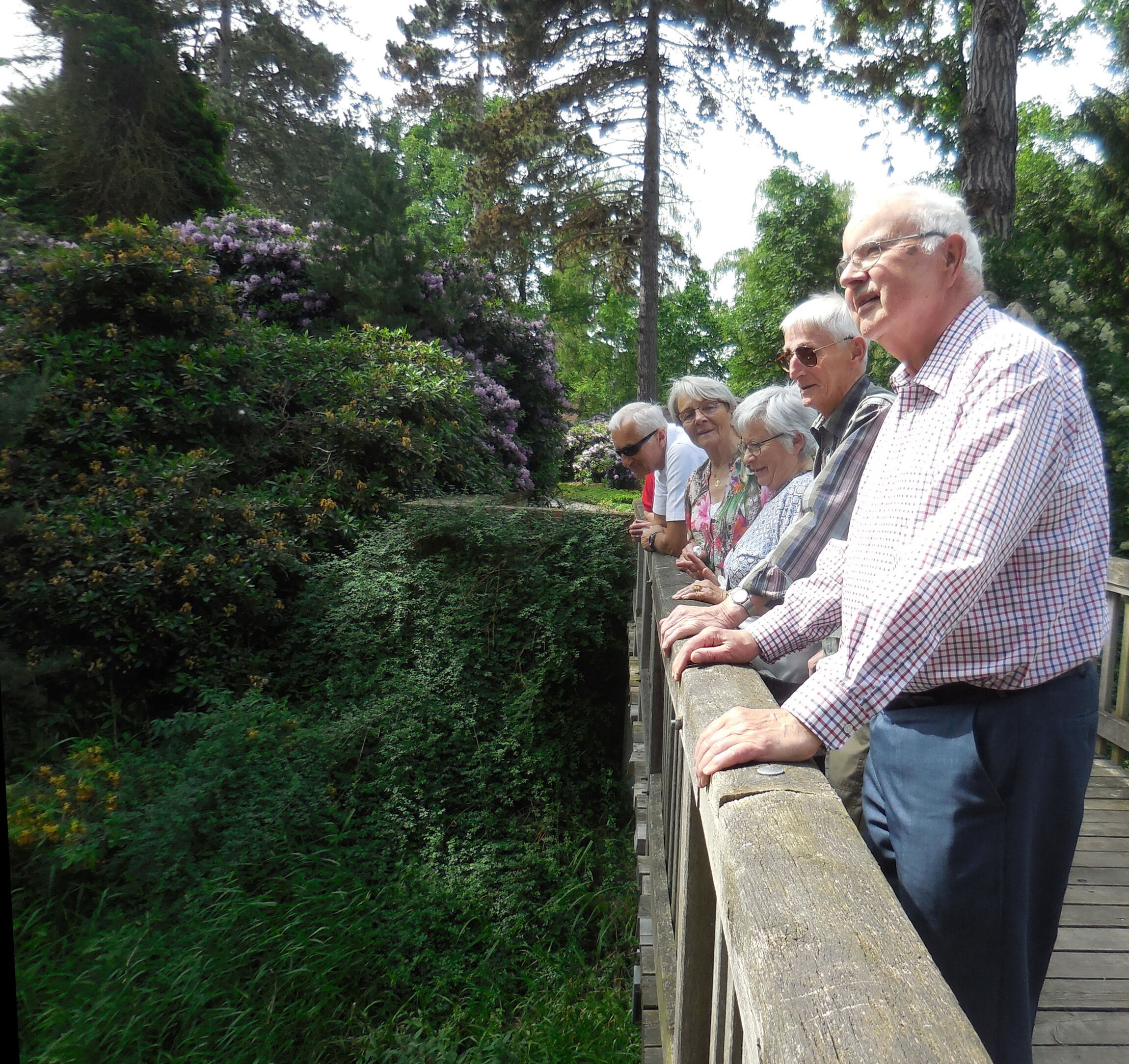 Stöcken - Friedhof, Gruppe