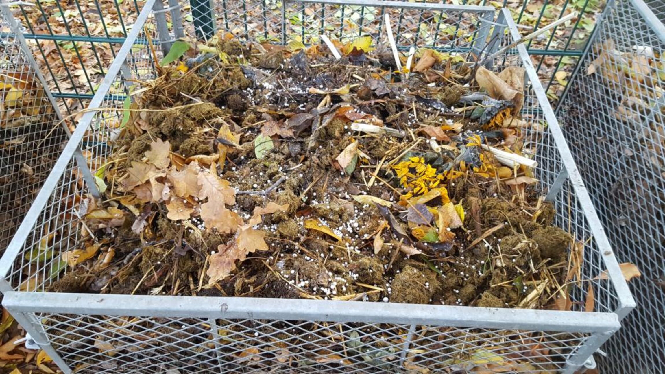 Einer von fünf Kompostern