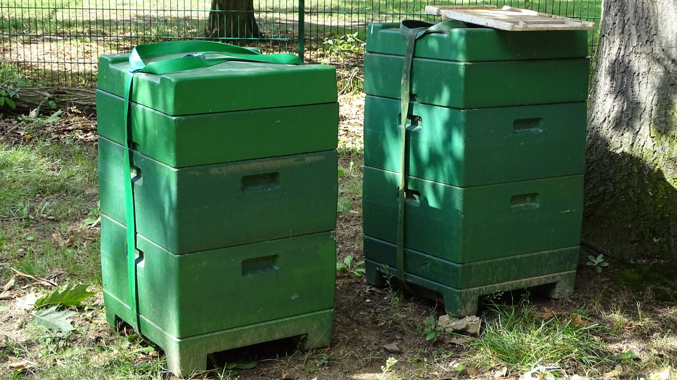 Bienenstöcke - Teaser