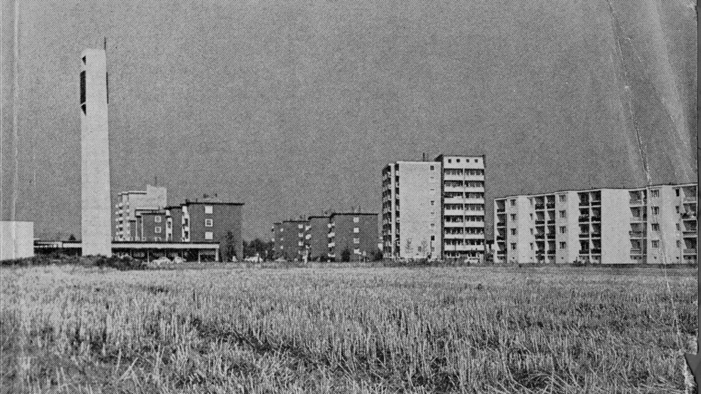 Abgeerntetes Getreide (aus Kontakte) 