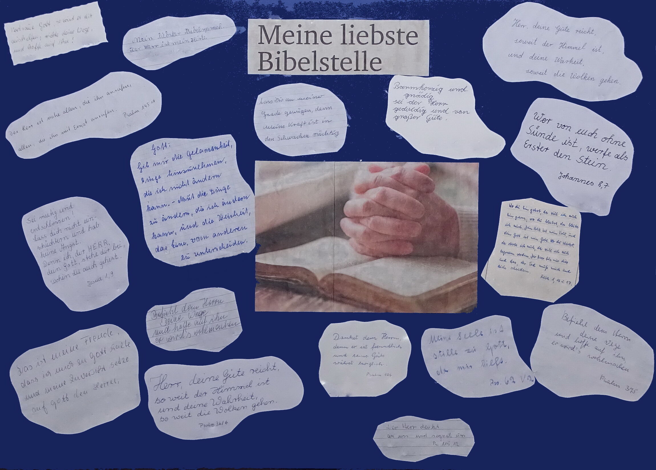 Schaukasten aus 2018