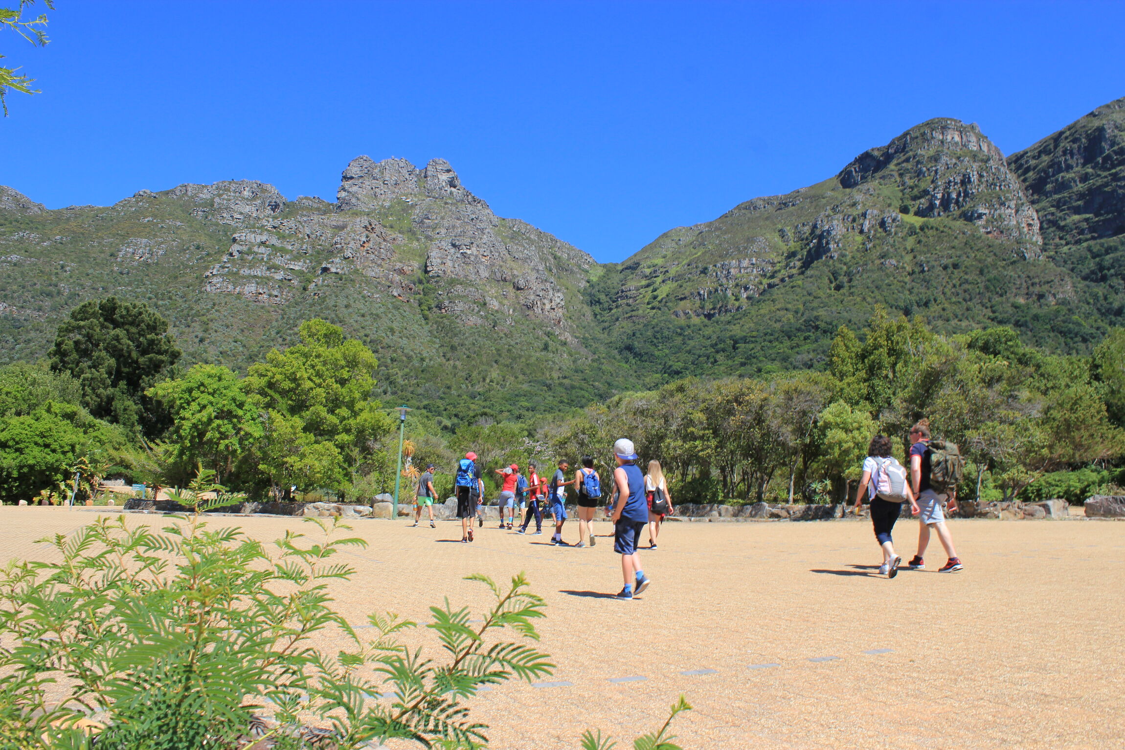 Aufbruch zur Tafelbergbesteigung von Kirstenbosch, der hinteren Bergseite aus