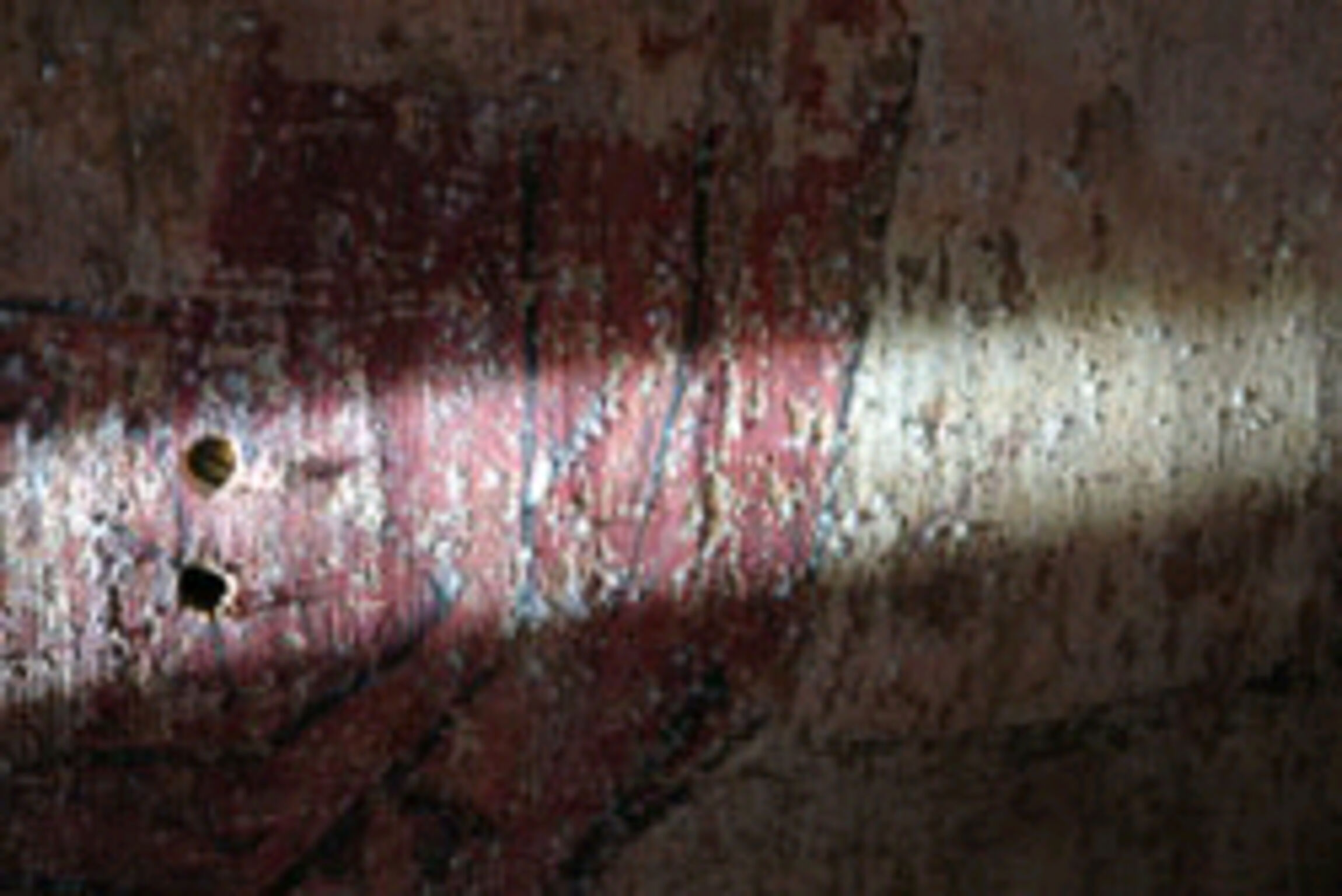 Schimmelbefall an Wandmalerei