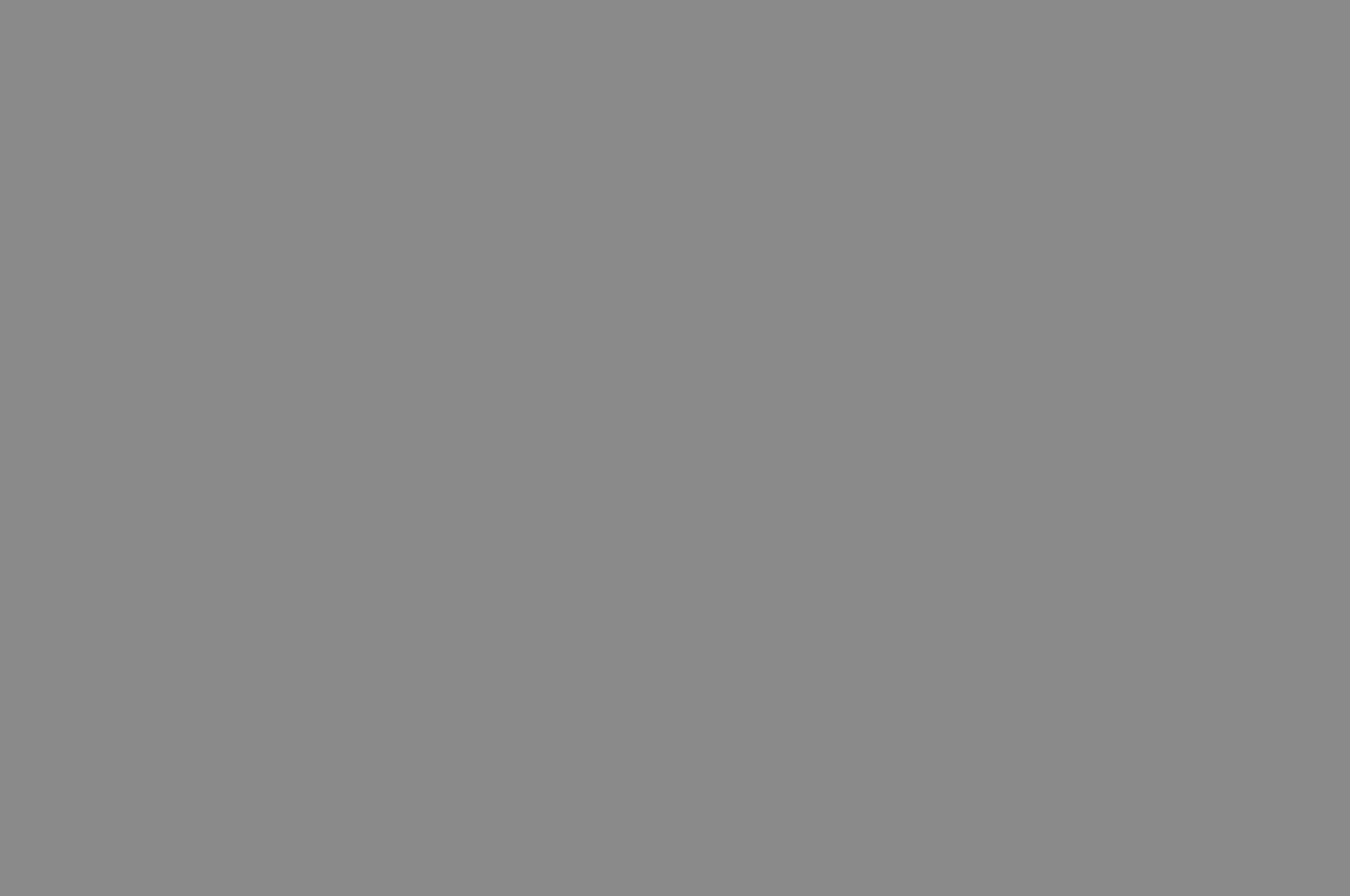Graubild-quer