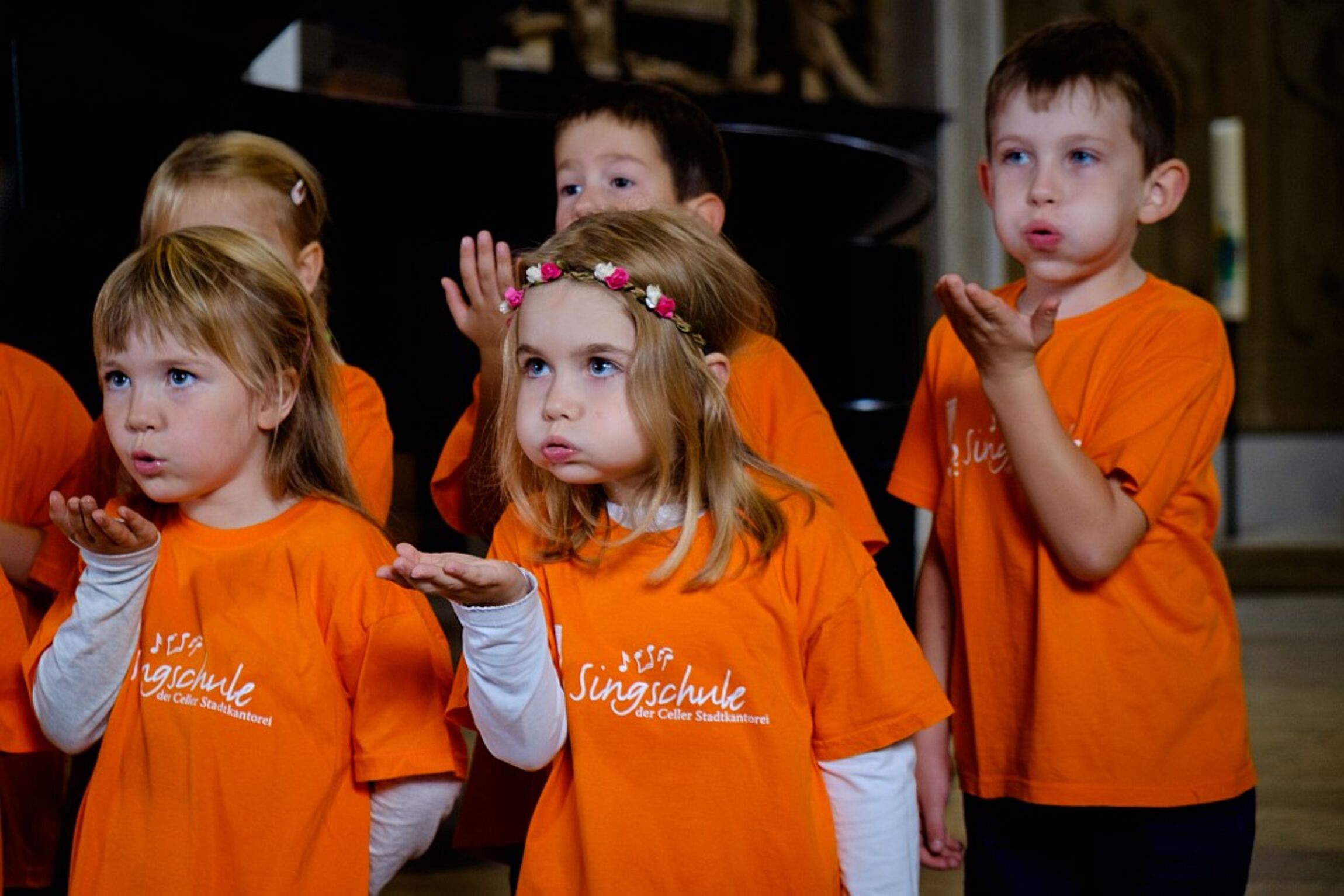 2017-09-05 Spatzen-1