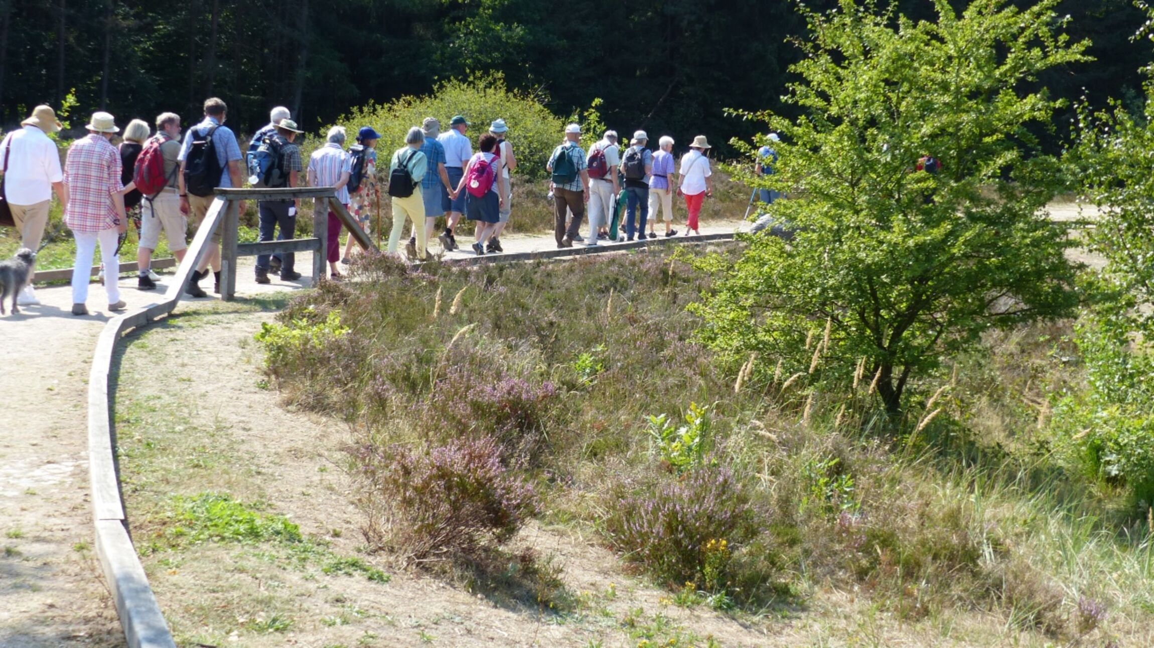 Start am Angelbecksteich