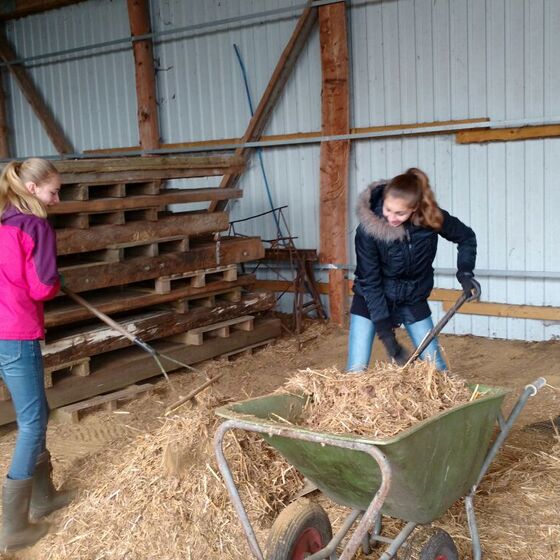 7b mistet Stall (Brink) - Sozialer Tag