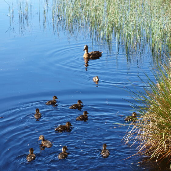 Himmelfahrt 2016 (19)