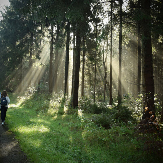 KUF17 Drangstedt (49)