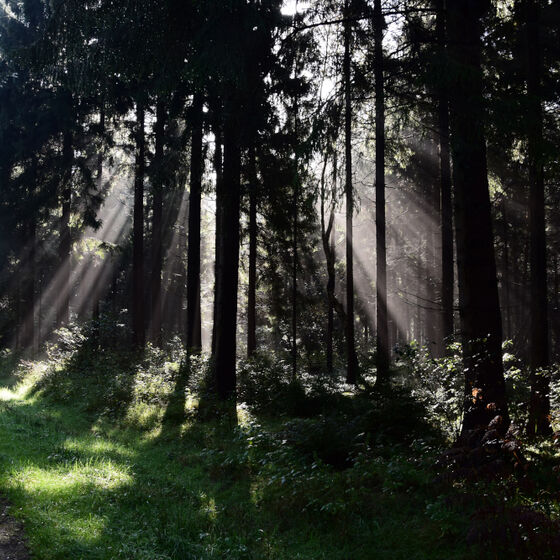 KUF17 Drangstedt (50)