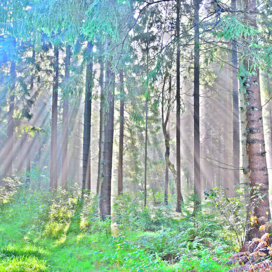 KUF17 Drangstedt (51)