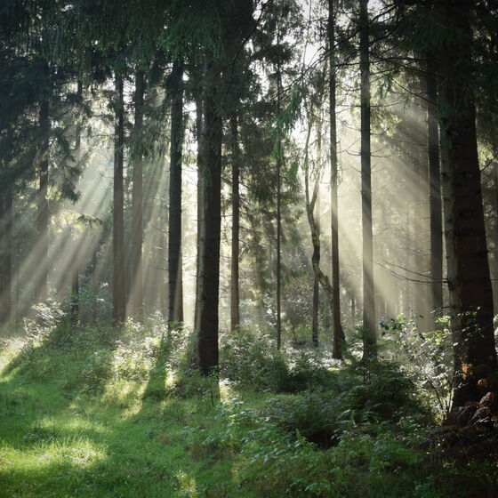 KUF17 Drangstedt (52)