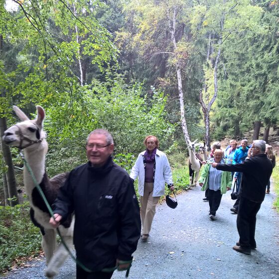 Zu Besuch in Pobershau am 03. Oktober 2015