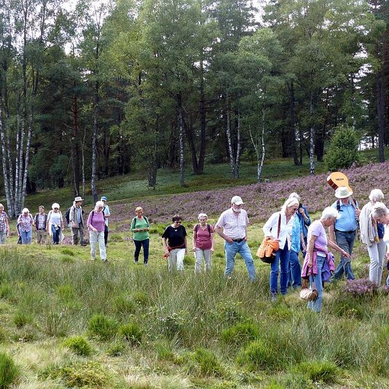 Was gibt's denn da zu sehen?