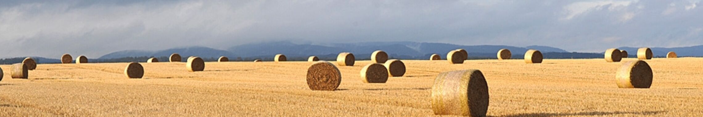 Stoppelfeld mit Strohballen