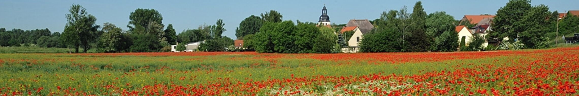 Wiese mit Klatschmohn vor Dorfsilouette