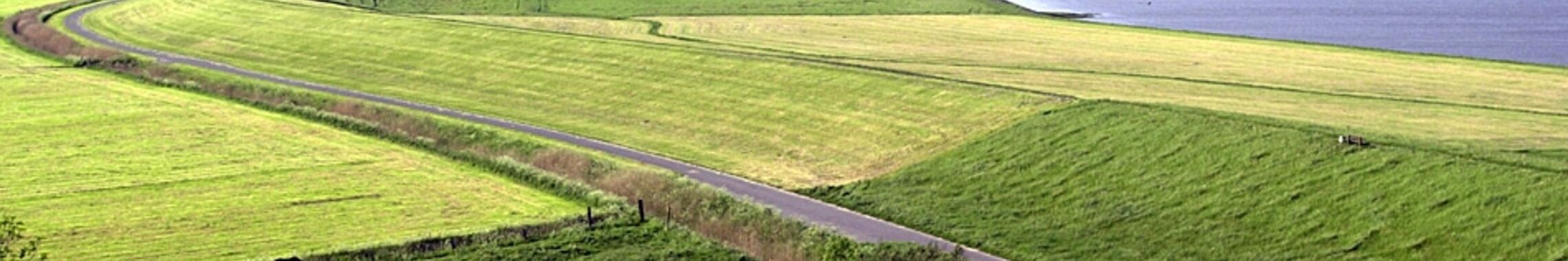 Gemähter Deich mit einem Stück Meer