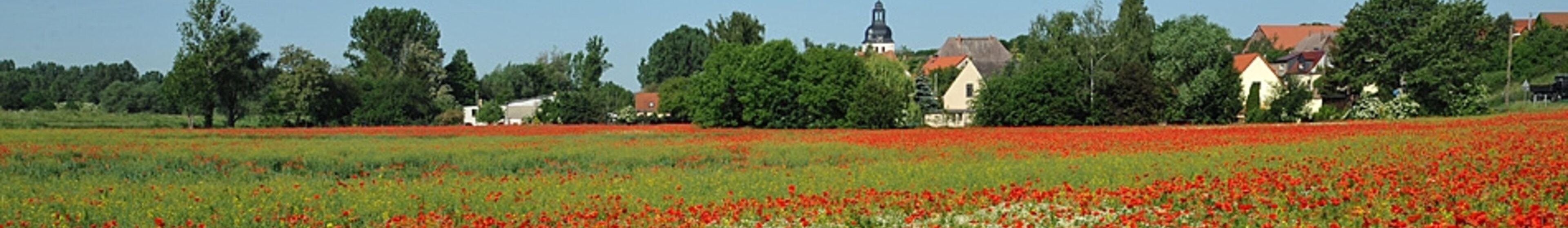Wiese mit Klatschmohn vor Dorfsilouette