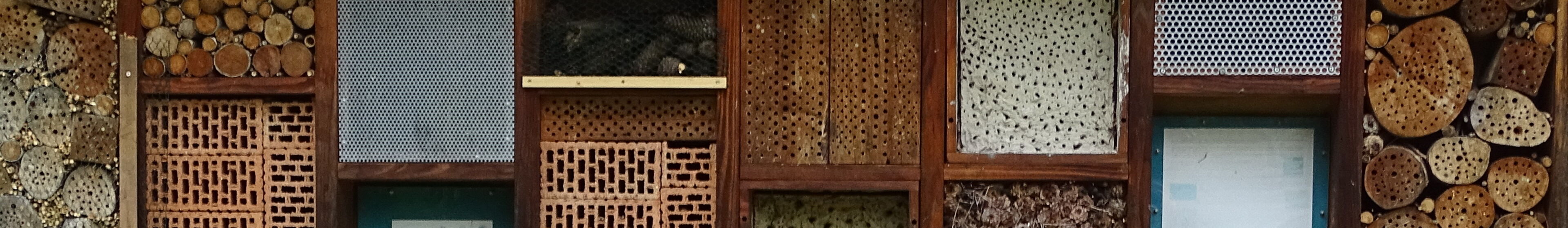 Insektenhote am Turm