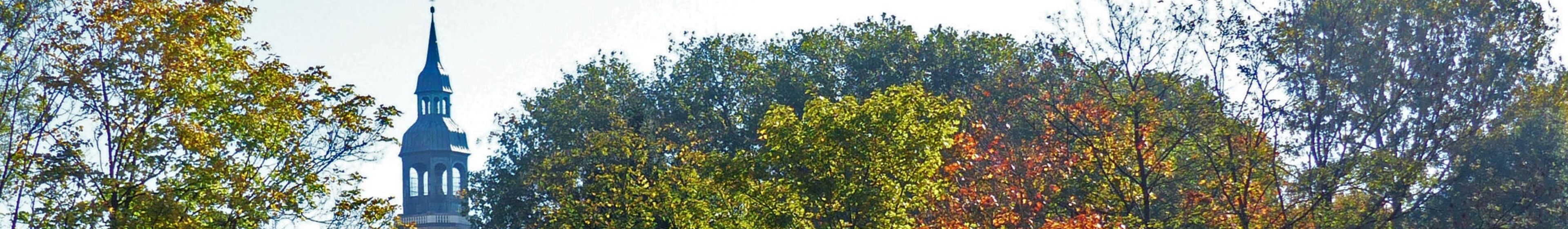 Kirchturm mit Baeumen 1920x280