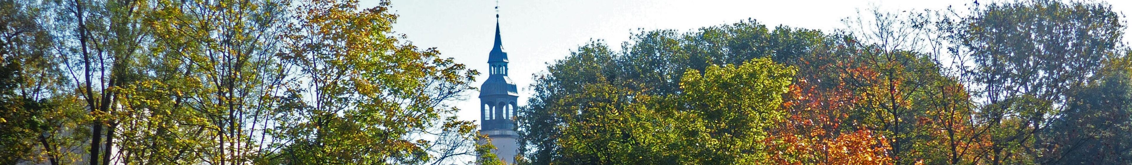 Kirchturm mit Baeumen-2