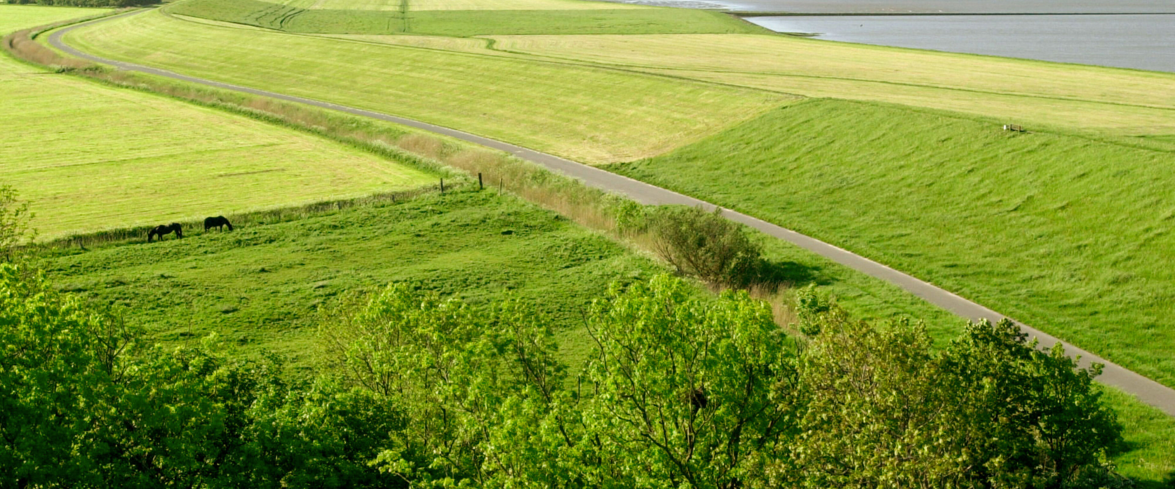 Gemähter Deich mit einem Stück Meer