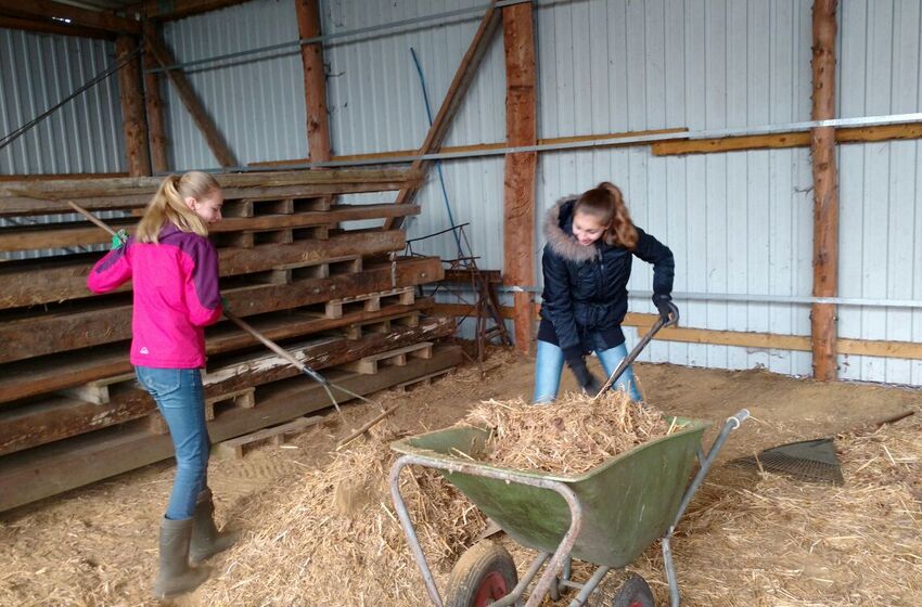 7b mistet Stall (Brink) - Sozialer Tag