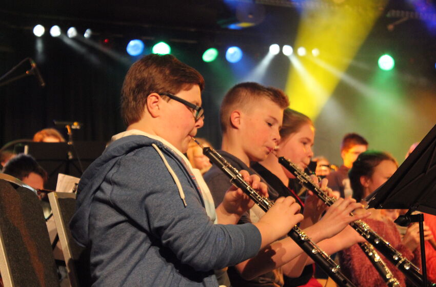 Foto_Konzert_Lampenfieber_2017_(50)[1]