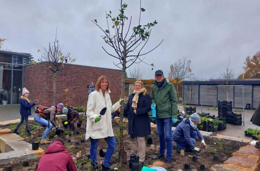 Pflanzaktion Fielmann