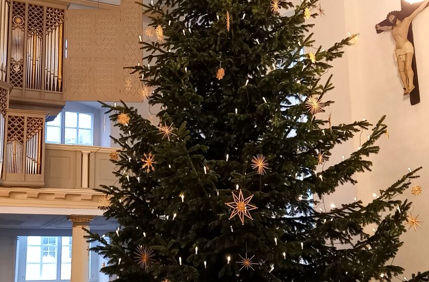 Weihnachtsbaum 2024