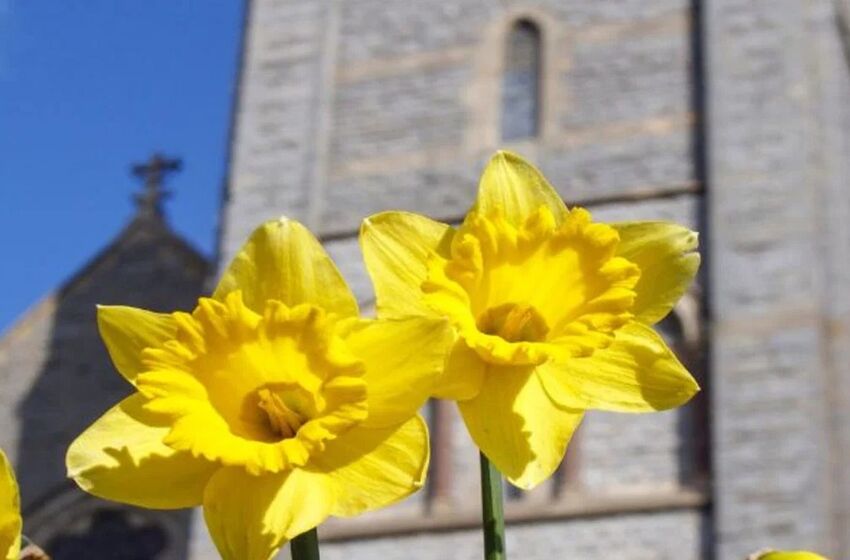 Osterandacht Landesbischof Ralf Meister
